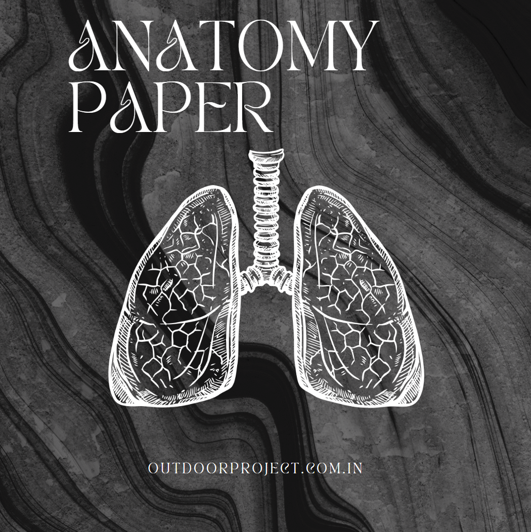 Anatomy Paper