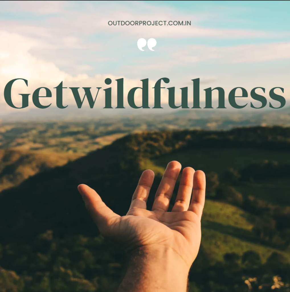 Getwildfulness