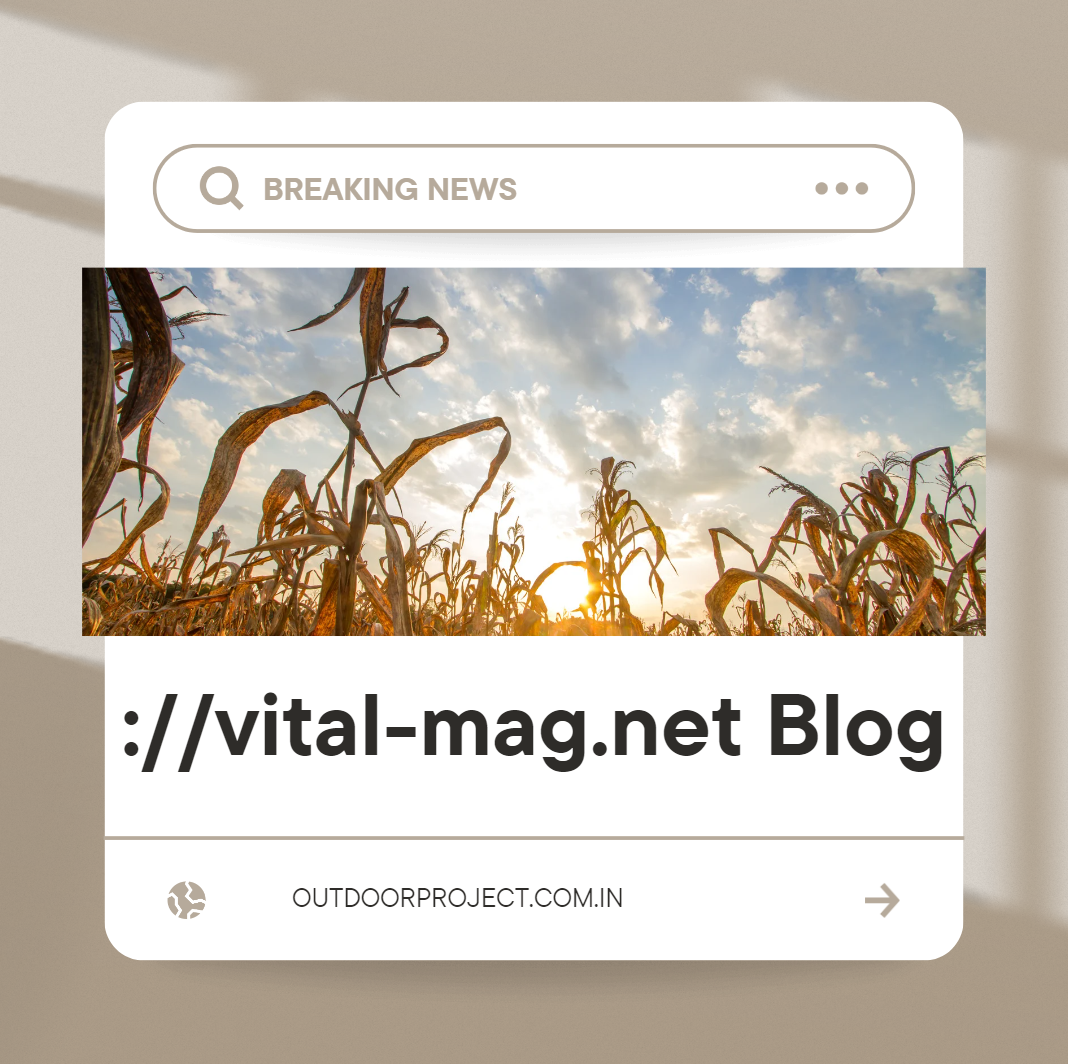 ://vital-mag.net Blog