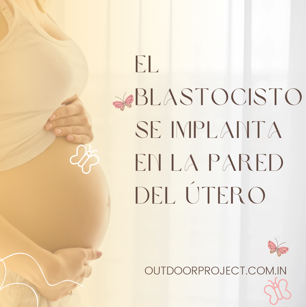 El Blastocisto se Implanta en la Pared del Útero